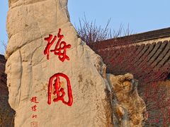-梅园
