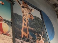 -Wagas沃歌斯(大学路店)