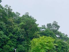 -火炉山森林公园