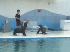 -北戴河圣蓝海洋公园