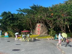 -野狸岛
