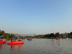 -枫香湖儿童公园