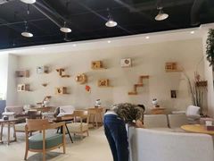 -藏猫猫咖啡主题馆(中央大道店)