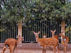 -上海华凯华美达广场酒店