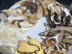 -野菌皇海景野生菌火锅(滨海大道店)