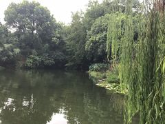 -张鸟园农家乐(张鸟园店)