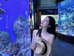 -左海海底世界