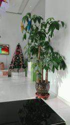 点击看大图 -荟草堂痘肌修护中心