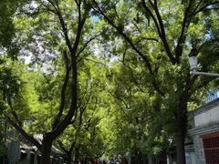 -北京鲁迅博物馆(北京新文化运动纪念馆鲁博馆区)