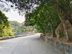 -大石鼓山庄·珠海第一烧猪