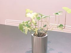 -UNI UNI(环亚凯瑟琳店)