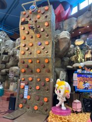 -卡通尼·Safari非洲探索乐园·生日会(金桥国际商业广场店)