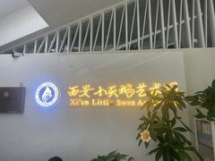 -西安小天鹅艺术团(曲江Alice店)