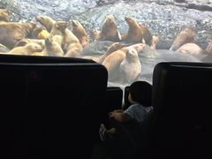 -珠海横琴国家地理探险家中心(创新方)