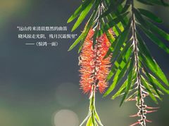 -厦门悦华酒店