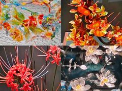 -淄博花灯齐彩城