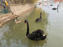 -南翠屏公园
