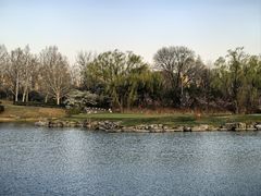 -万柳高尔夫俱乐部