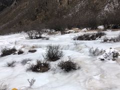 -黄龙山原始森林景区