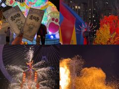 -海合安武汉极地海洋公园