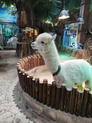 -宝燕乐园(闵行旗舰店)