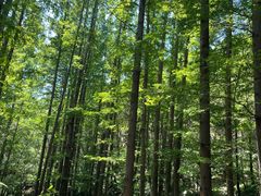 -国家植物园南园