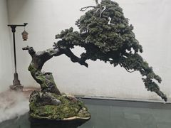 -觀芷隐轩