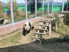 -苏州太湖国家湿地公园