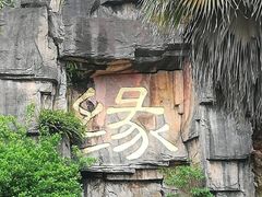 -三水森林公园