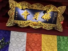 -新加坡佛牙寺龙华院