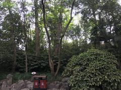 -扬州大运河文化旅游度假区·盆景园