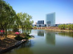 -大兴滨河森林公园