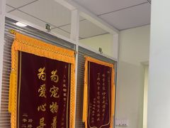 -艾吉宠物医院·疑难杂症转诊中心·猫友好(碧江路院)