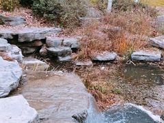 -武汉园博园(武汉自然博物馆)