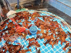 -争先鲜·蒸汽海鲜自助·鲜切牛肉