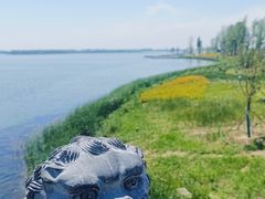 -白洋淀风景区