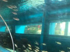 -北国之春国宴(乌兰察布店)