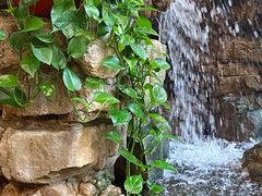 -舜耕山庄四时万和自助餐厅