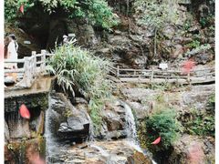 -鼎湖山风景区