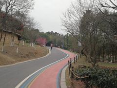 -南京市无想山景区