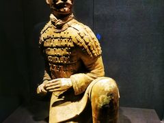 -陕西历史博物馆