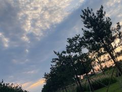 -汉长安城未央宫国家考古遗址公园