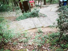 -上海佘山国家森林公园天马山园