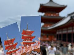 -有栖山 清光院 清水寺
