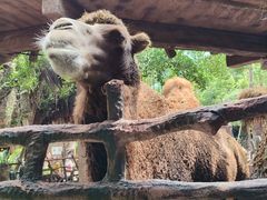 -长鹿旅游休博园