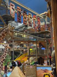 -卡通尼·Safari非洲探索乐园·生日会(金桥国际商业广场店)