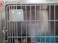 -美联众合动物医院·24h京西诊疗中心