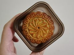 -广州白天鹅宾馆