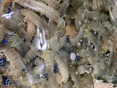 -雅逸居海鲜小厨