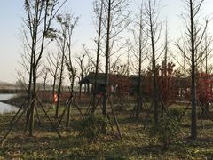 景点-南湖国家城市湿地公园